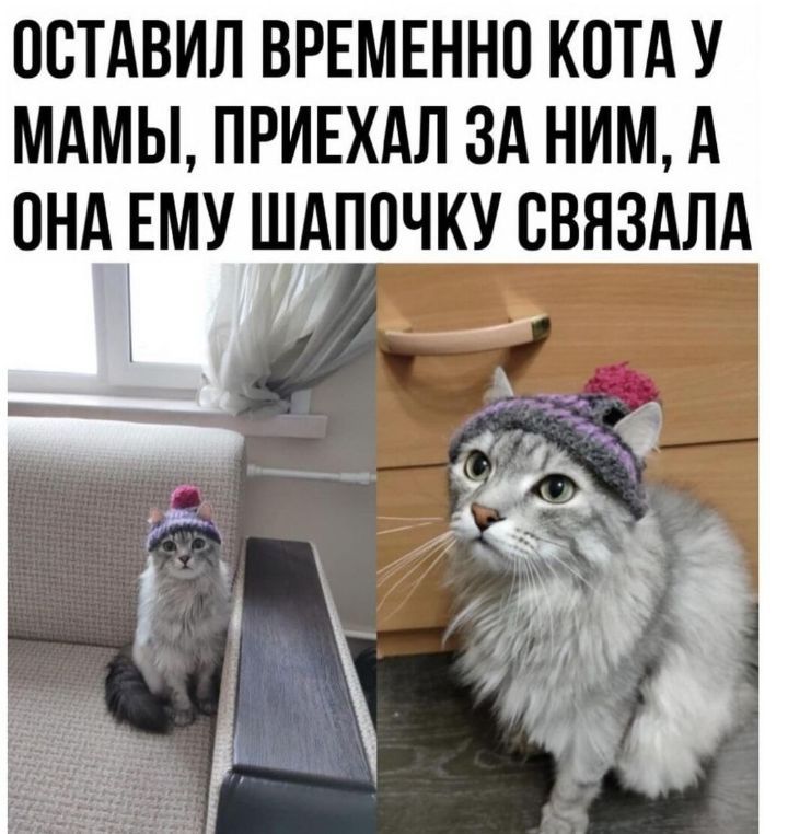 ОСТАВИЛ ВРЕМЕНН0 КПТА У МАМЫ ПРИЕХАЛ ЗА НИМ А ОНА ЕМУ ШАППЧКУ СВЯЗАЛА