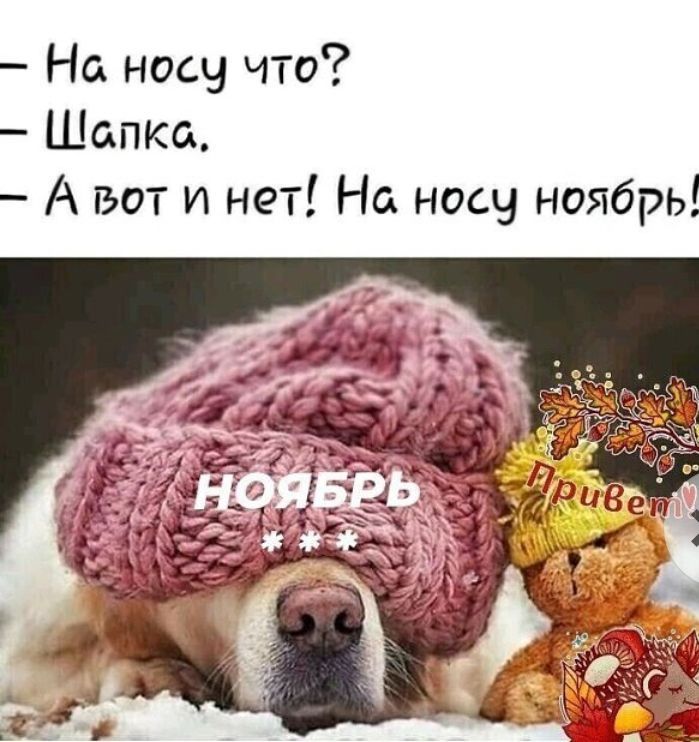 На носу что Шапка А вот и нет На носу ноябрь