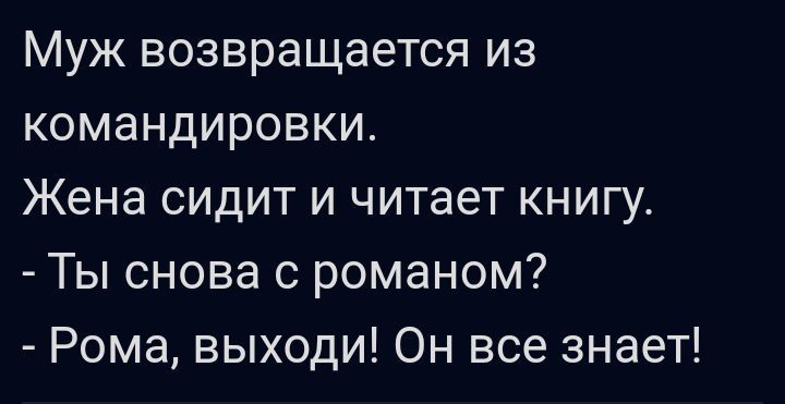 Муж возвращается из командировки Жена сидит и читает книгу Ты снова с романом Рома выходи Он все знает