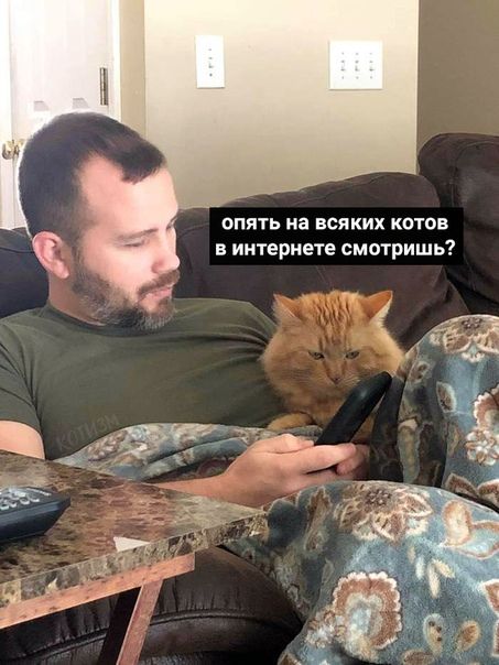 опять на всяких котов в интернете смотришь