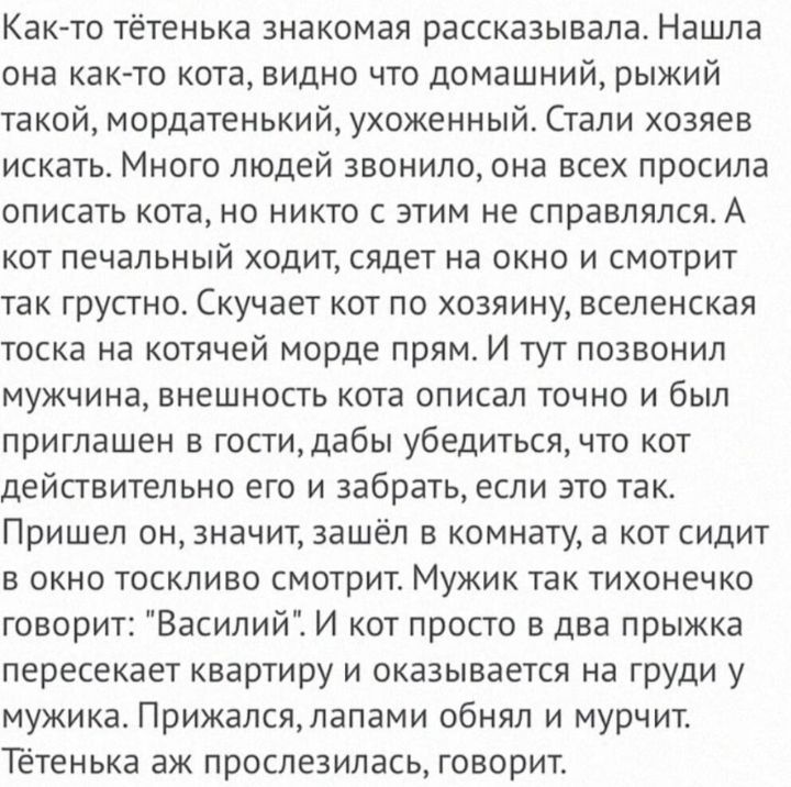 Как то тётенька знакомая рассказывала Нашла она как то кота видно что домашний рыжий такой мордатенький ухоженный Стали хозяев искать Много людей звонило она всех просила описать кота но никто с этим не справлялсяА кот печальный ходит сядет на окно и смотрит так грустно Скучает кот по хозяину вселенская тоска на котячей морде прям И тут позвонил мужчина внешность кота описал точно и был приглашен 