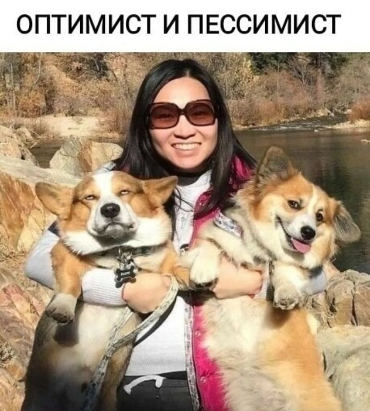 ОПТИМИСТ И ПЕССИМИСТ 3е