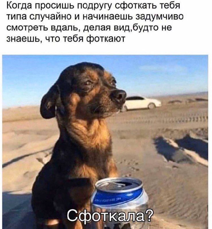 Когда просишь подругу сфоткать тебя типа случайно и начинаешь задумчиво смотреть вдаль делая видбудт0 не знаешь что тебя фоткают