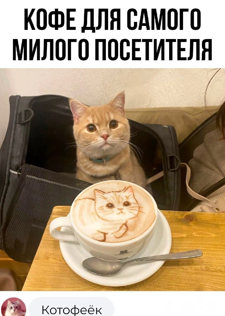 КОФЕ ДЛЯ САМОГО МИЛПГО ППВЕТИТЕЛЯУ