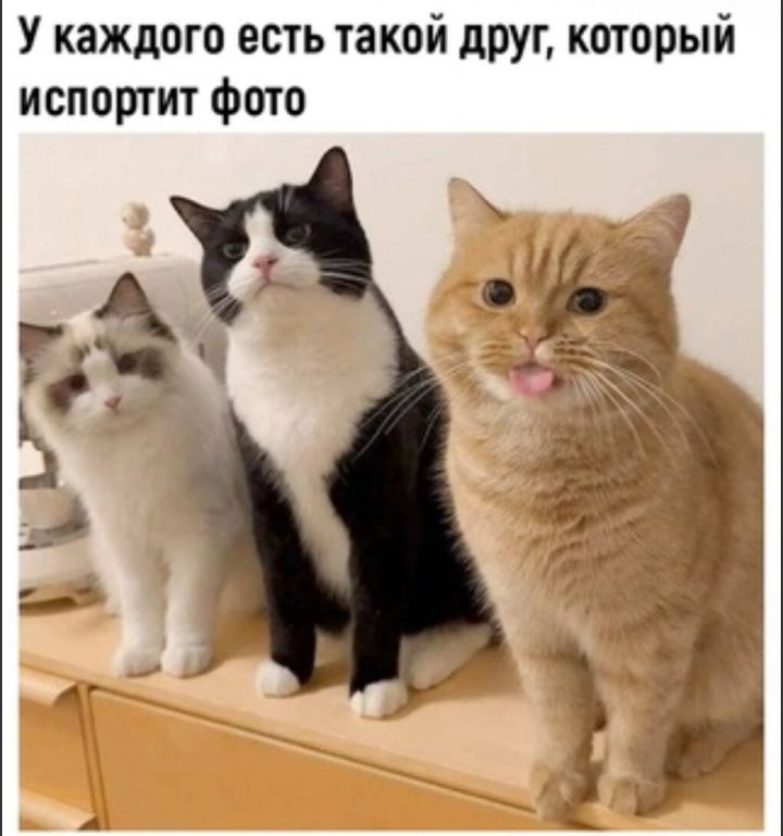 У каждого есть такой друг который испортит Фото