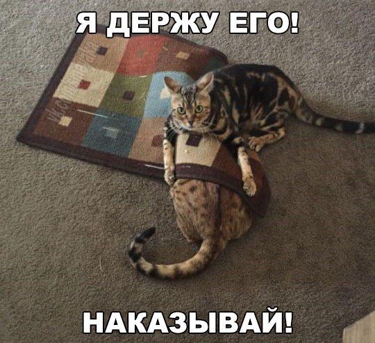 ндкдзьпвдй