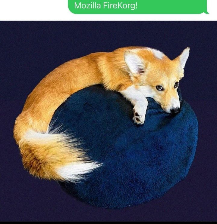 а