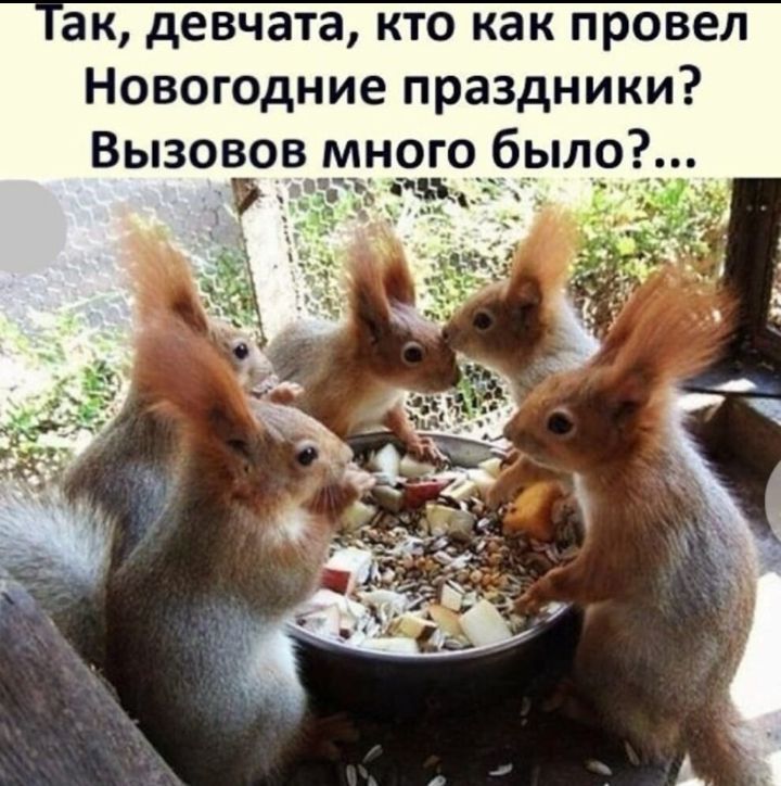 ак девчата кто как провел Новогодние праздники Вызовов много было