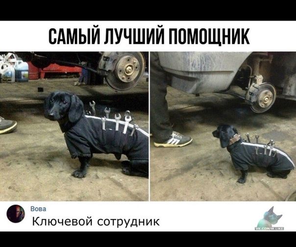 Ключевой сотрудник