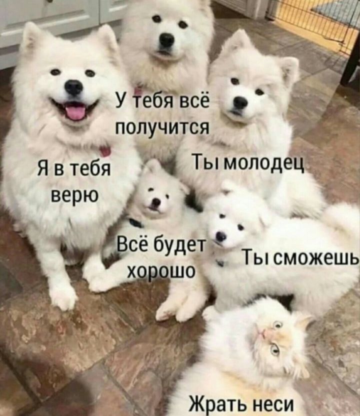 Увсё получитс_я ___ 7 Явтебя Тымопод Жрать неси