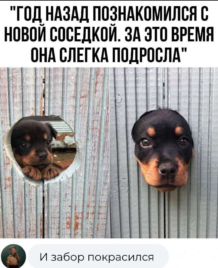 годндздд позндкпмился в новом сосвлкпи зд это врвмя ПНАСЛЕГКАППДРОСЛА і эМ А