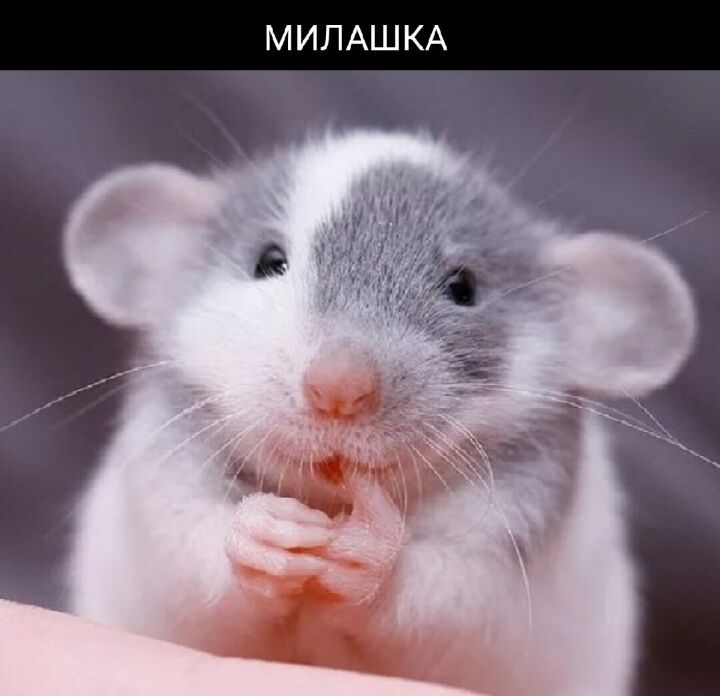 х х