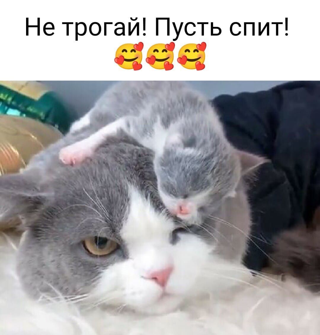 Не трогай Пусть спит ги 3