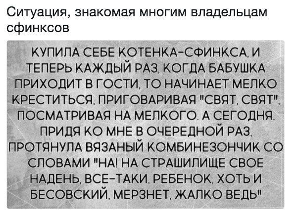 Ситуация знакомая многим владельцам сфинксов КУПИПА СЕБЕ КОТЕНКА СФИНКСА И ТЕПЕРЬ КАЖДЫЙ РАЗ КОГДА БАБУШКА ПРИХОДИТ В ГОСТИ ТО НАЧИНАЕТ МЕПКО КРЕСТИТЬСП ПРИГОЕАРИВАЯ СВПТ СВЯТ ПОСМАТРИВАЯ НА МЕПКОГО А СЕГОДНЯ ПРИДЯ КО МНЕ В ОЧЕРЕДНОЙ РАЗ ПРОТЯНУПА ВЯЗАНЫЙ КОМБИНЕЗОНЧИК СО СПОВАМИ НА НА СТРАШИПИЩЕ СВОЕ НАДЕНЬ ВСЕ ТАКИ РЕБЕНОК ХОТЬ И БЕСОВСКИЙ МЕРЗНЕТ_ ЖАПКО ВЕДЬ