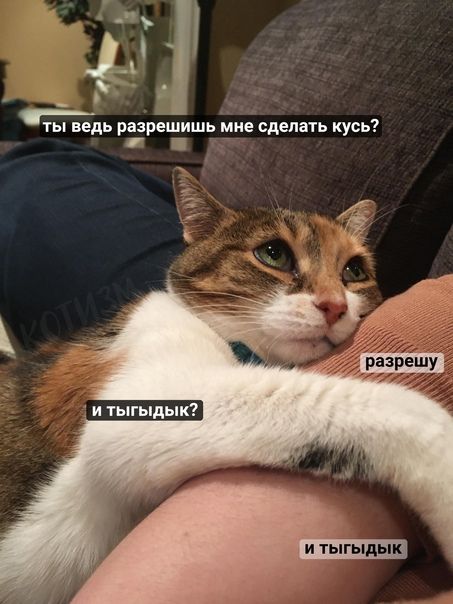 4 ты ведь разрешить мне сделать пусь Ё разрешу и тыгыдык