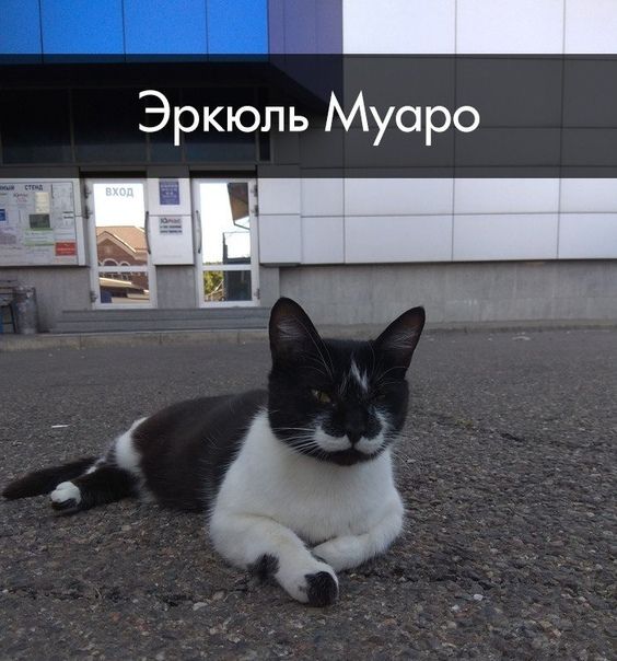 __ Эркюль Муаро