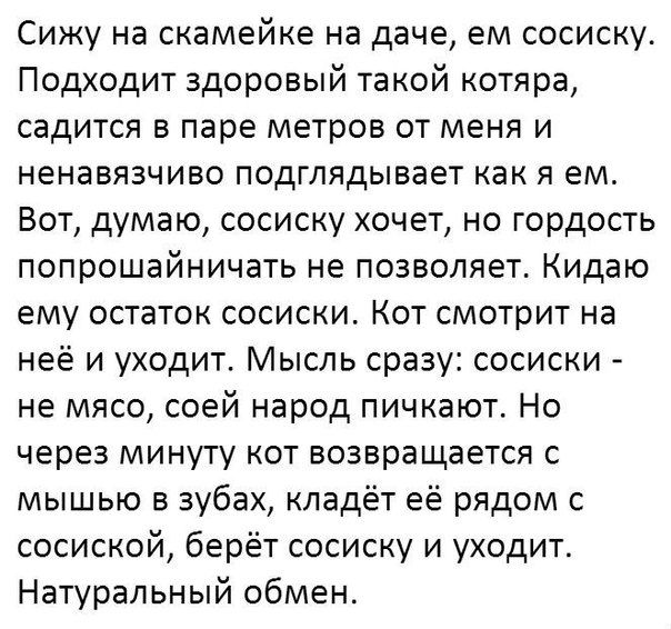 Сижу на скамейке на даче ем сосиску Подходит здоровый такой котяра садится в паре метров от меня и ненавязчиво подглядывает как я ем Вот думаю сосиску хочет но гордость попрошайничать не позволяет Кидаю ему остаток сосиски Кот смотрит на неё и уходит Мысль сразу сосиски не мясо соей народ пичкают Но через минуту кот возвращается с мышью в зубах кладёт её рядом с сосиской берёт сосиску и уходит Нат