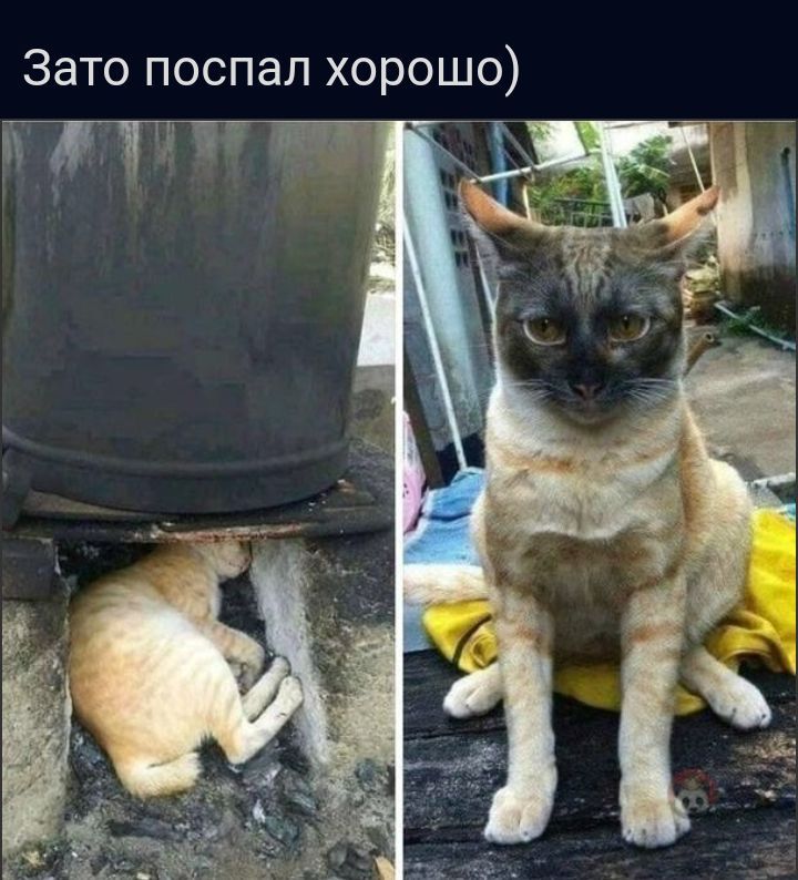 Зато поспал хорошо