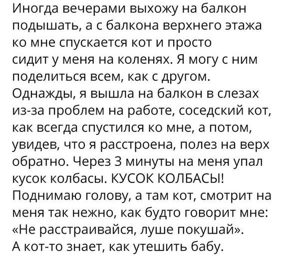 Иногда вечерами выхожу на балкон подышать а с балкона верхнего этажа ко мне спускается кот и просто сидит у меня на коленях Я могу с ним поделиться всем как с другом Однажды я вышла на балкон в слезах из за проблем на работе соседский кот как всегда спустился ко мне а потом увидев что я расстроена полез на верх обратно Через 3 минуты на меня упал кусок колбасы КУСОК КОЛБАСЫ Поднимаю голову а там к