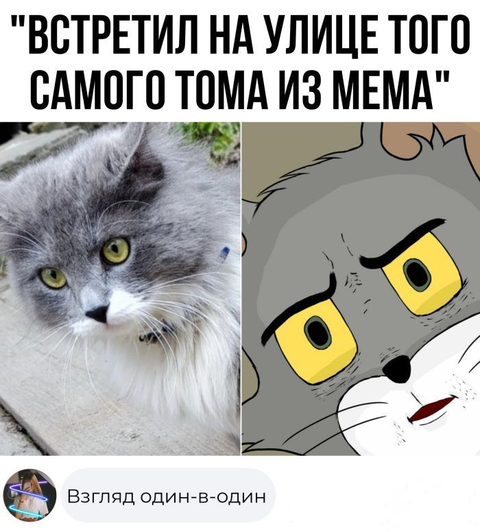 ВВТРЕТИЛ НА УЛИЦЕ ТПГП ВАМПГО ТОМА ИЗ МЕМА 7