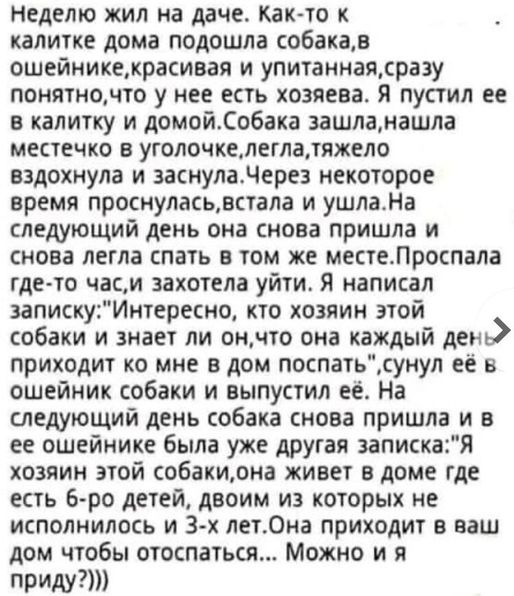 НЕДЕЛЮ ЖИЛ на даче КаК ТВ К калитке дома подошла собакав ОШЕЙМИКЕЖРВСИВЗЯ И уПИТаННВЯЕр33у понятночто у нее есть хозяева я пустил ее в калитку и домойСобака зашламашла МЕПЕЧКО В УГОЛОЧКСЩЕГЛЭДПЖЕЛО вздохнула и заснуладерез некоторое время проснуласьдстала и ушлаНа следующий день она снова пришла и снова ЛЕГЛЗ СПЕТЬ В ТОМ же МССТСЛРОСПВЛЗ где то часм захотела уйти Я написал запискуИнтересно кто хоз