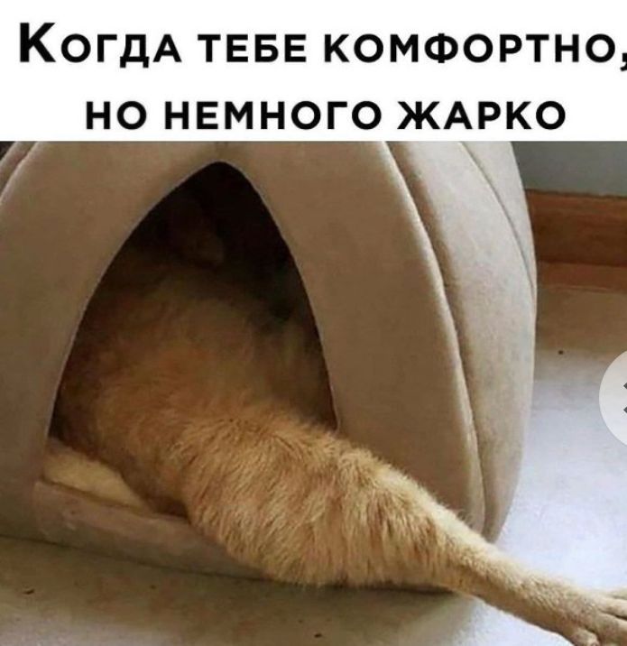 КогдА ТЕБЕ комфортно но немного ЖАРКО