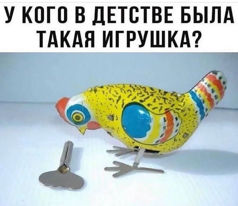 У КОГО В ДЕТСТВЕ БЫЛА _ ТАКАЯ ИГРУШКА 1 эк