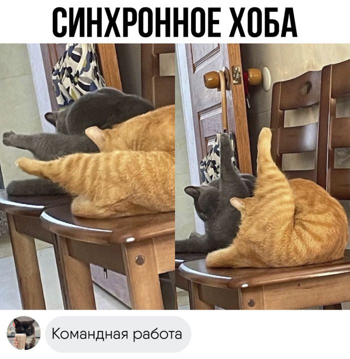 ВИНХРОННПЕ ХОБА