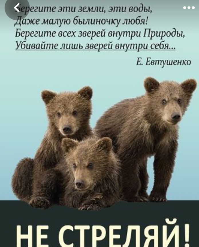 Чегите эти земли ати воды иже малую былиначку любя Берегите всех зверей внутри Природы биапйте лишь зее ей вн т и себя Е Евтушенко