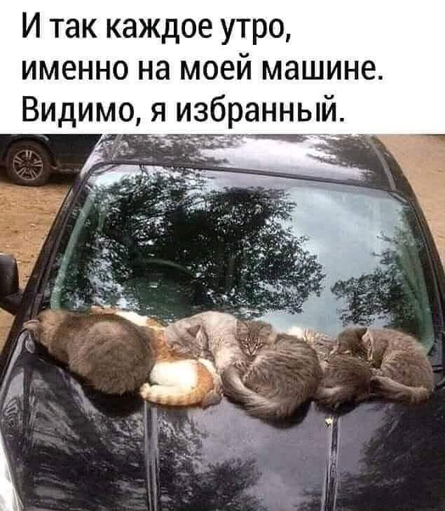 И так каждое утро именно на моей машине Видимо я избранный