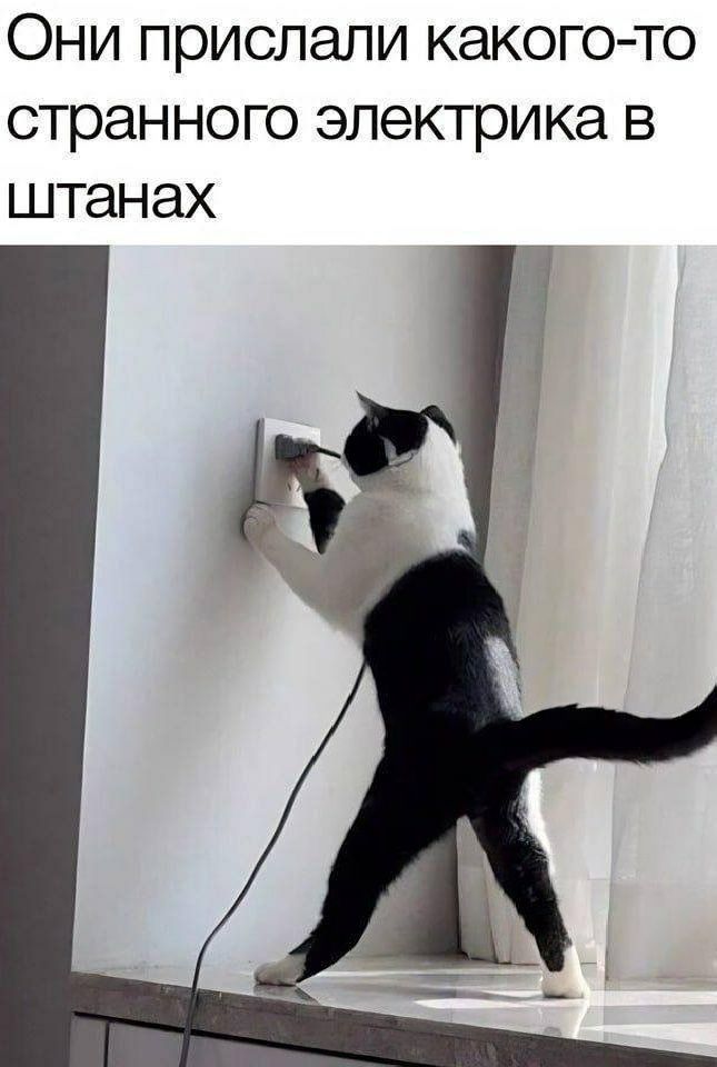 Они прислали какого то странного электрика в штанах