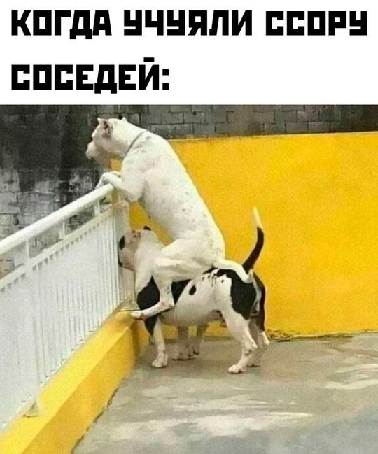 КОГДА УЧЧЯЛИ ССоРУ СОСЕДЕЙ