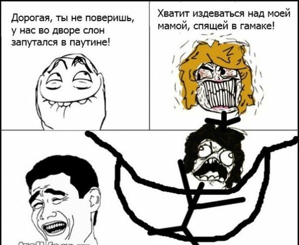 Хватит издеваться над моей мамой спящей в гамаке Дорогая ты не поверишь у НБС ЕО дворе ШОН запутался в паутине