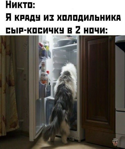 Никтп Я кппдн и хпппдипьникд вып кппичкн в 2 нпчи