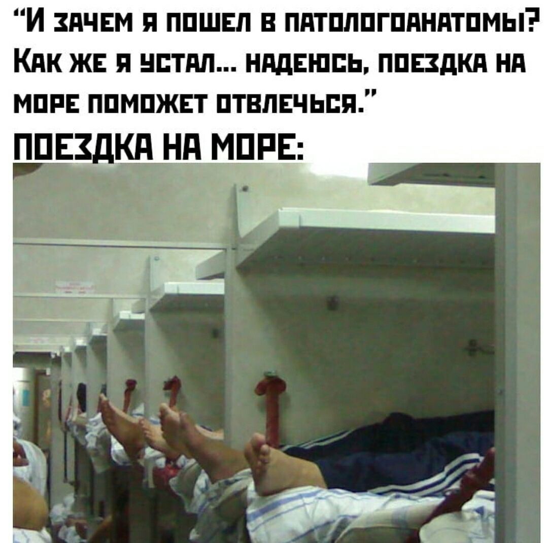 И пчвм ппшвл в пдтплпгпдндтпмы Кпк ж нптдп нддвшпь ппвздкд нд мппв ппмпжвт птвлвчьпя ппвздкд нмрв _