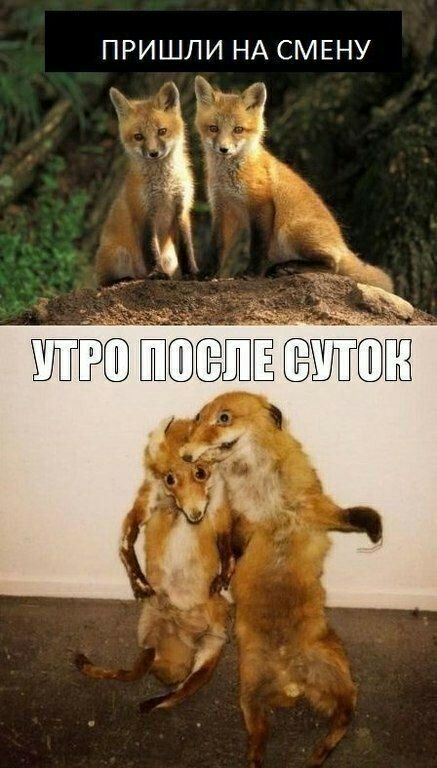 ПРИШЛИ НА СМЕНУ