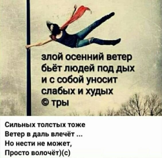 алой осенний ветер бьёт людей под дых и с собой уносит слабых и худых 5533 тр ЁЁ СИЛЬНЬХ ТОЛСТЬХ ТОЖЕ Ветер в даль влечёт Но нести не может Просто вопочётс