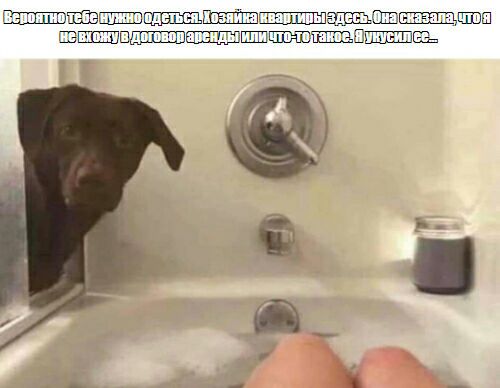 ШЩЕШШШЭШШШЕШШШ ШШШ_ШЭЕЬ