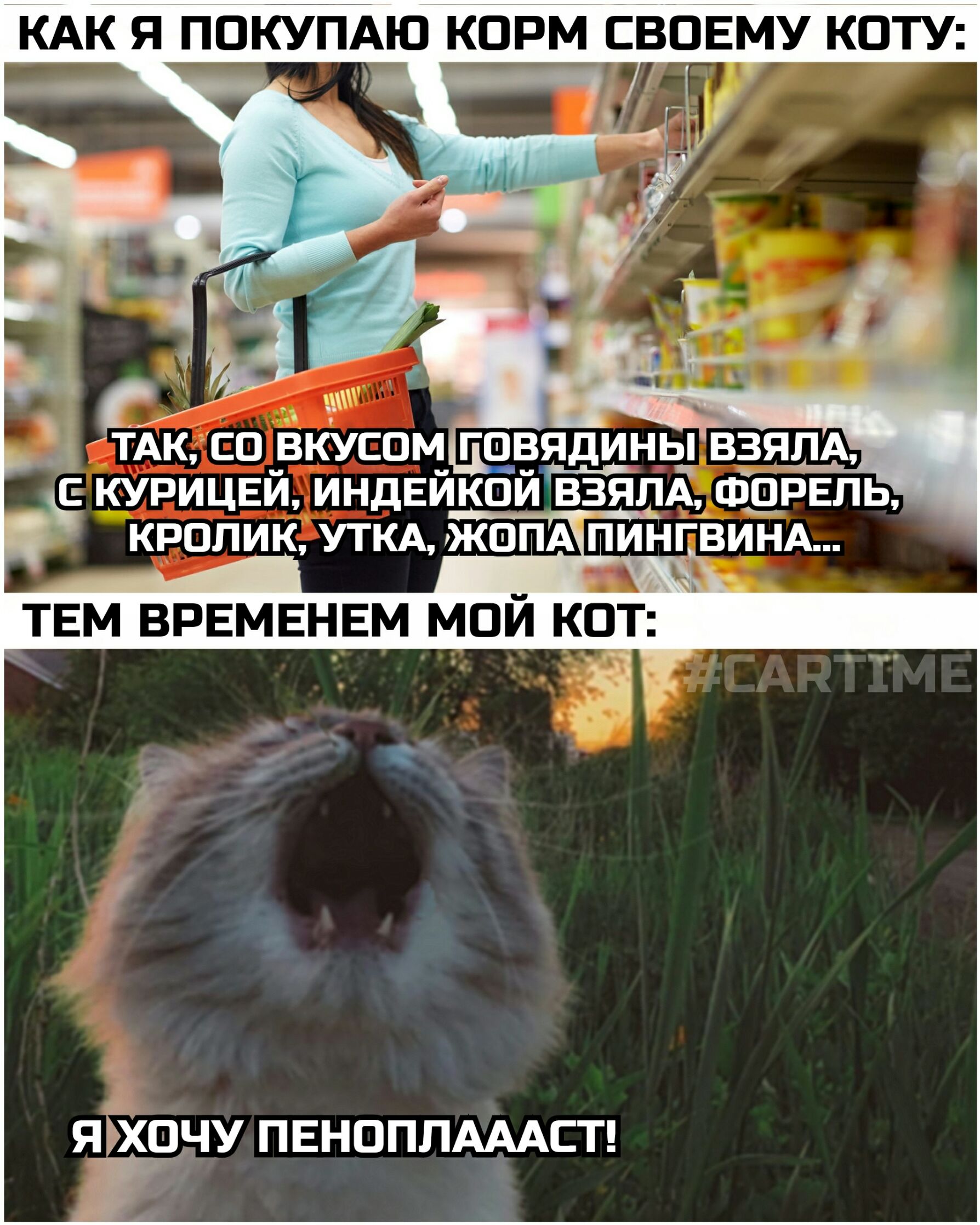 КАК я поКУі1Аю корм свовму коту і_м ТАК со вкусом гшвядинь_ взям с курицей индейкой ВЗЯЛА ФШРЕПЬ кролик УТКА ЖШПА НГВИНА __ ТЕМ ВРЕМЕНЕМ МОИ КОТ яЁХЦНУ ПЕНОПЛАААСТ
