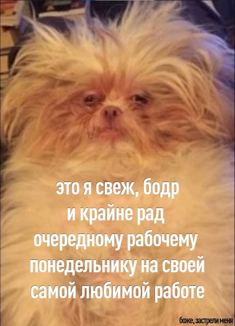 это я свеж бодр и крайне рад очередному рабочему понедельнику на своей самой любимой работе