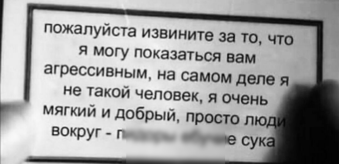 пожалуйста извините за то что я могу показаться вам агрессивным на самом деле я не такой человек я очень мягкий и добрый просто лю вокруг гт