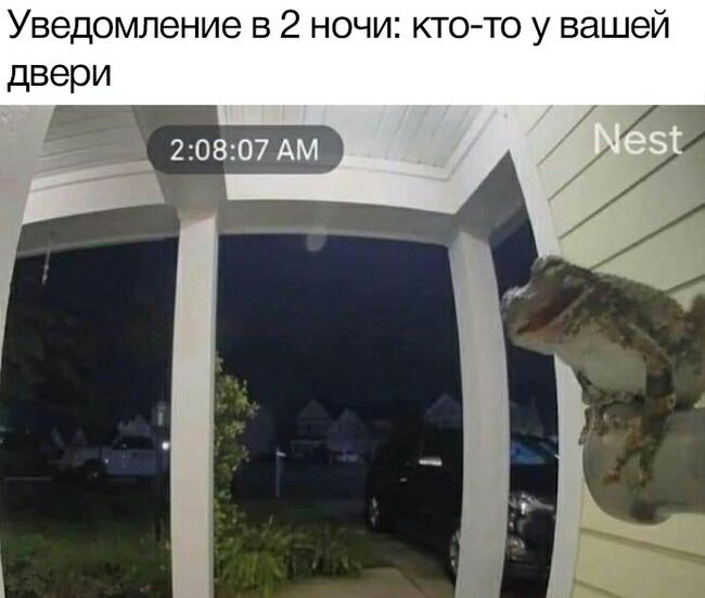 Уведомление в 2 ночи ктото у вашей двери 20807АМ