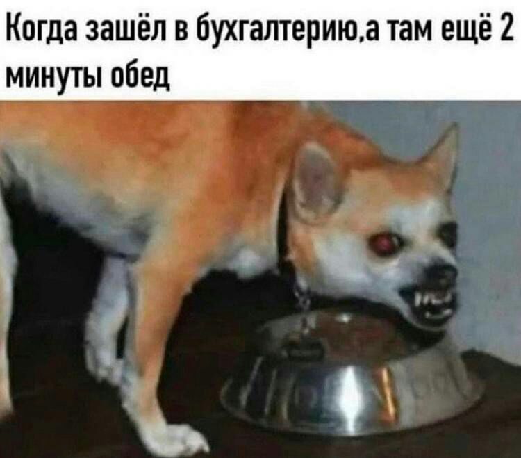 Когда зашёл в бухгалтериюз там ещё 2 минуты обед