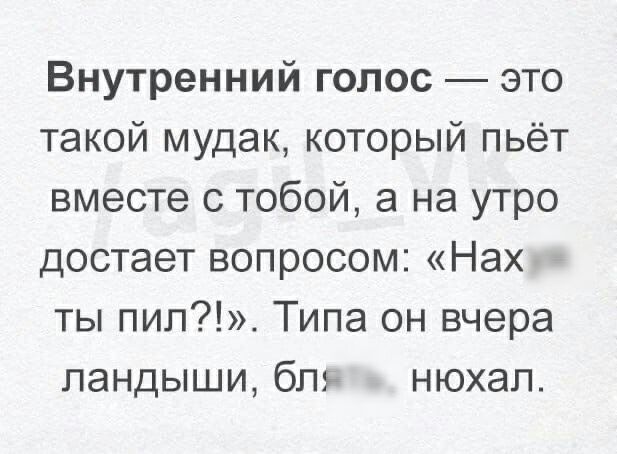 Внутренний голос это такой мудак который пьёт вместе с тобой а на утро достает вопросом Нах ты пип Типа он вчера ландыши блг нюхал