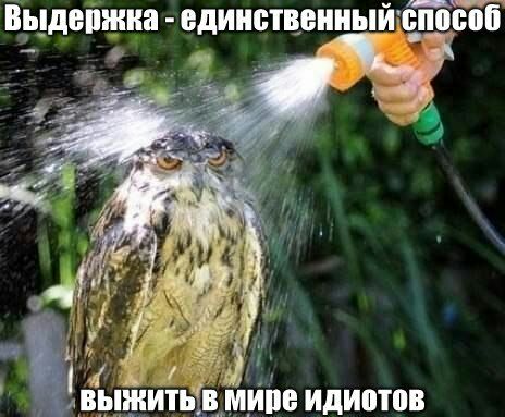 _тт Выдепжиа едииствеииый он 000