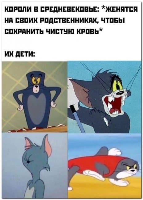Короли в средневековье: женятся на своих родственниках, чтобы! Сохранить чистую кровь их дети: