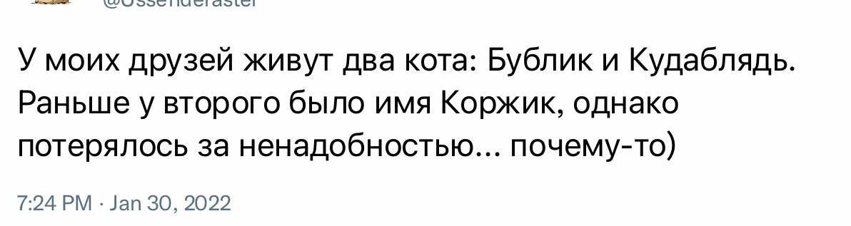 иььсп іысі аьссч У моих друзей живут два кота Бублик и Кудабпядь Раньше у второго было имя Коржик однако потерялось за ненадобностью почему то 724 РМ 1ап 302022