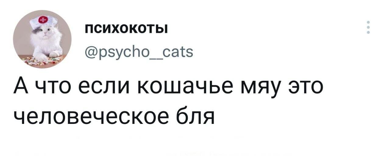 ПСИХОКОТЫ рзусНо__сатз А что если кошачье мяу это человеческое бля