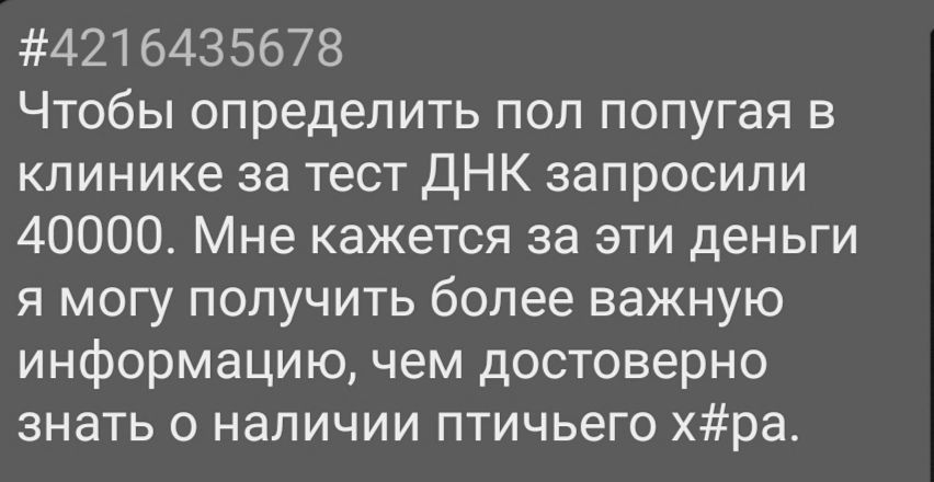 4216435678 Чтобы определить пол попугая в клинике за тест ДНК запросили 40000 Мне кажется за эти деньги я могу получить более важную информацию чем достоверно знать о наличии птичьего хра