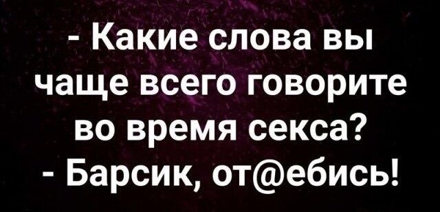 Какие слова вы чаще всего говорите во время секса Барсик оте6ись